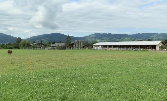 Steigmatt Bauernhof- Erlebnis Villa Montlingen Kültér fotó