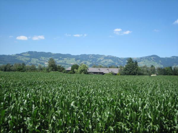 Steigmatt Bauernhof- Erlebnis Villa Montlingen Kültér fotó